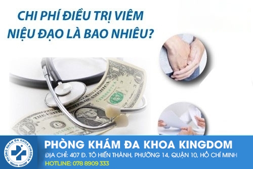 chua-tri-viem-nieu-dao-co-dat-khong