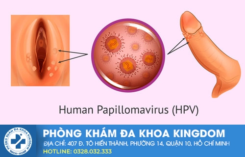 virus HPV